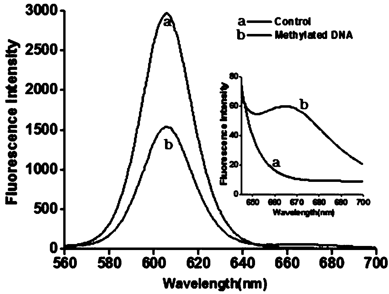 DNA (Deoxyribonucleic Acid) methylation detection kit and application method thereof