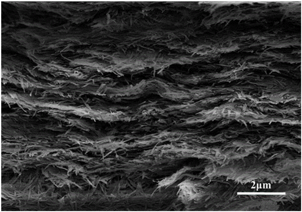 Self-supported attapulgite nanofiber membrane, and preparation method thereof