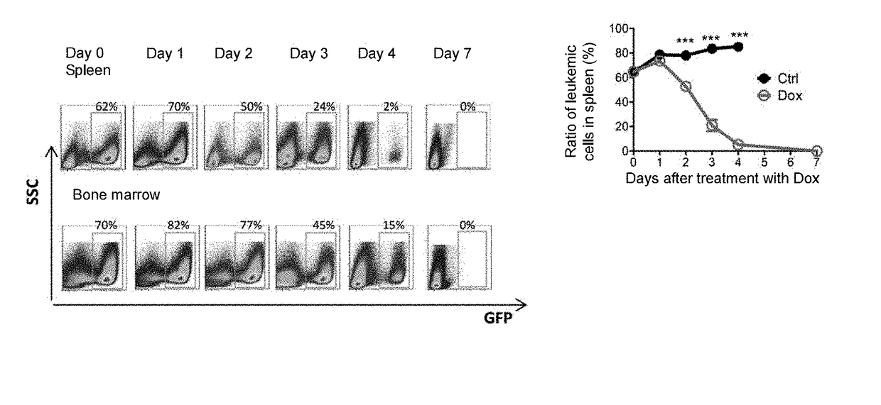 Method for treating leukemia using reprogramming effect