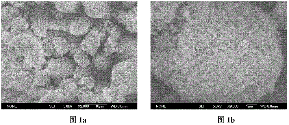 Preparation method and application of molecularly imprinted solid-phase extraction column for sulfa drugs