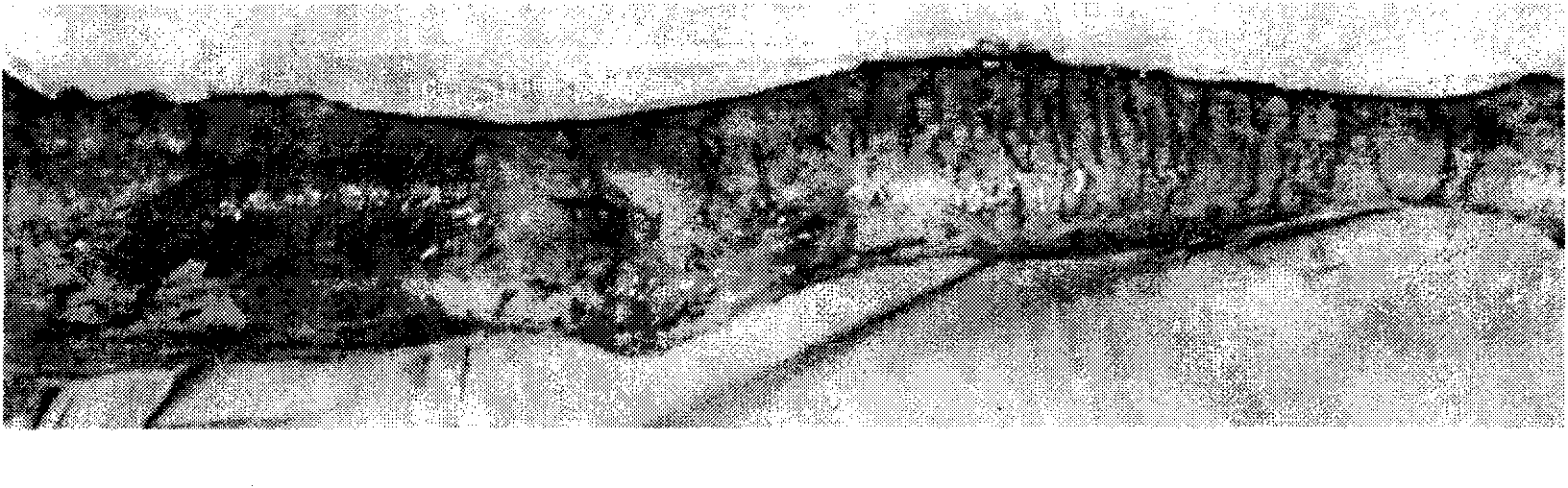 Sterilized heterogeneous medical biomembrane and preparing method thereof