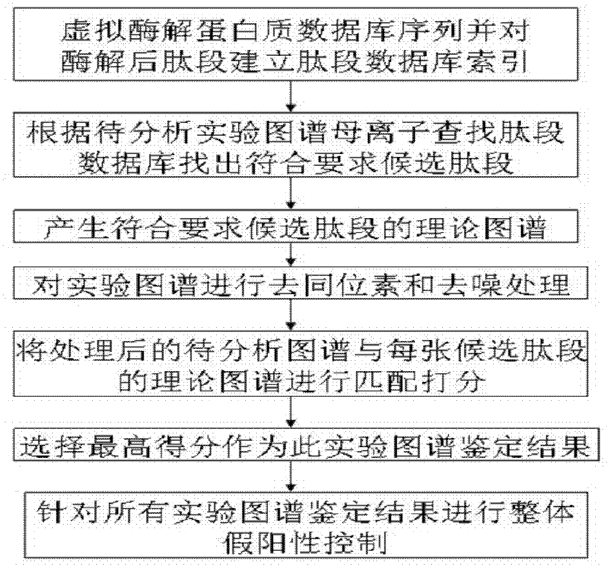 Protein secondary mass spectrometric identification method based on probability statistic model