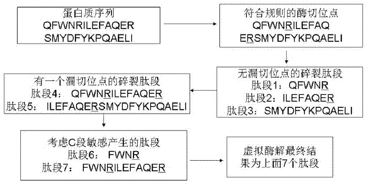 Protein secondary mass spectrometric identification method based on probability statistic model