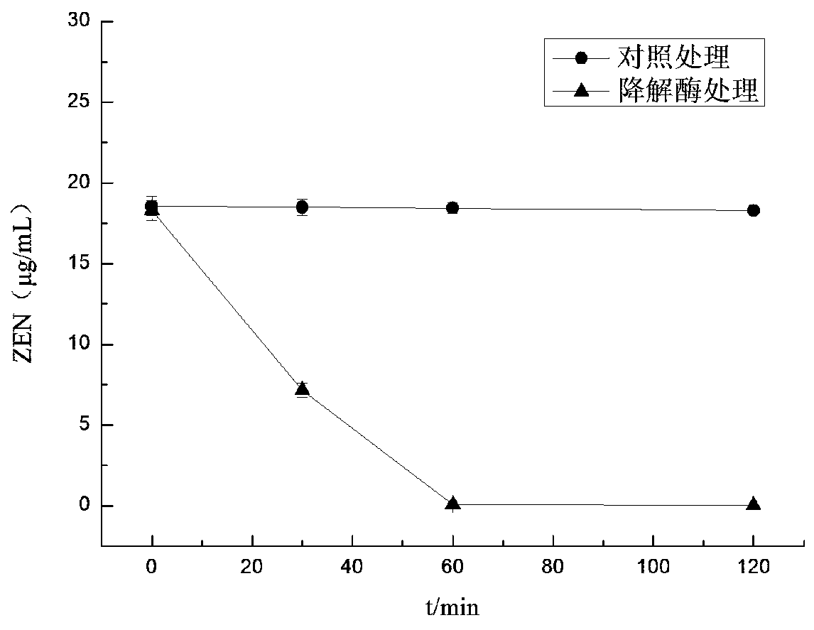 A kind of acid-resistant zearalenone detoxification enzyme and its coding gene and application