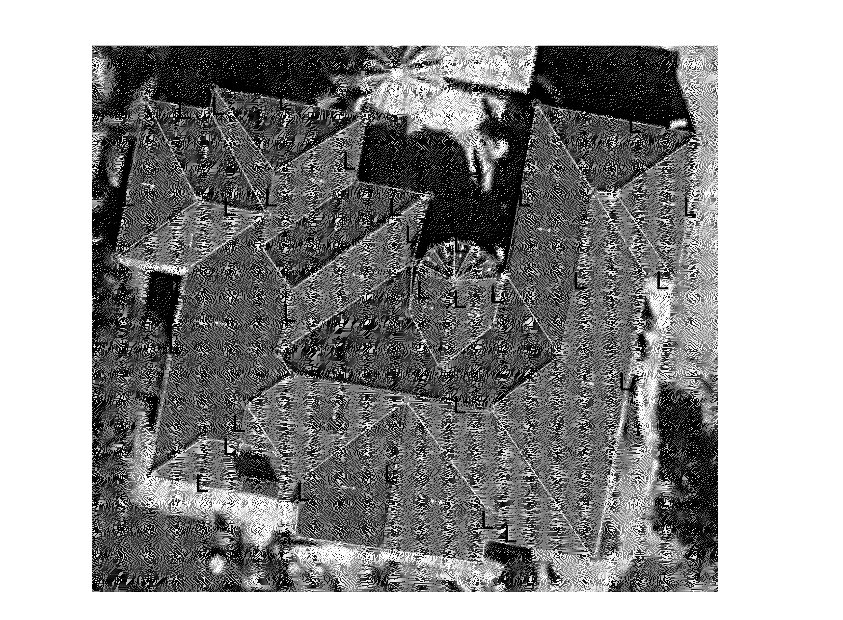 Estimation of Three-Dimensional Models of Roofs from Spatial Two-Dimensional Graphs