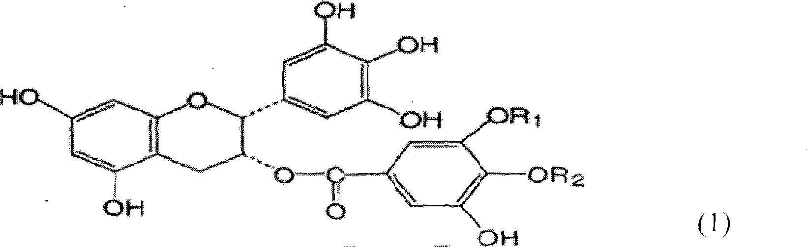 Process for preparing methylation catechin by tea