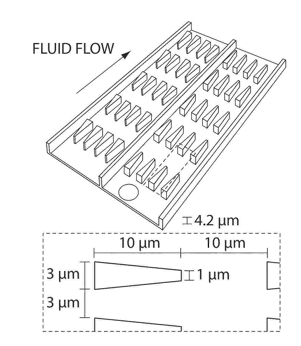 Computational methods and compositions