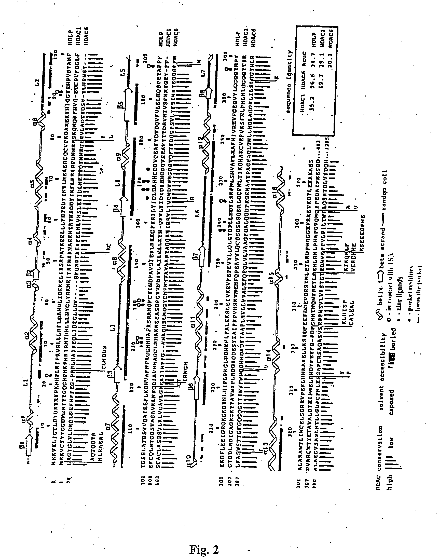 Crystal structure of a deacetylase and inhibitors thereof