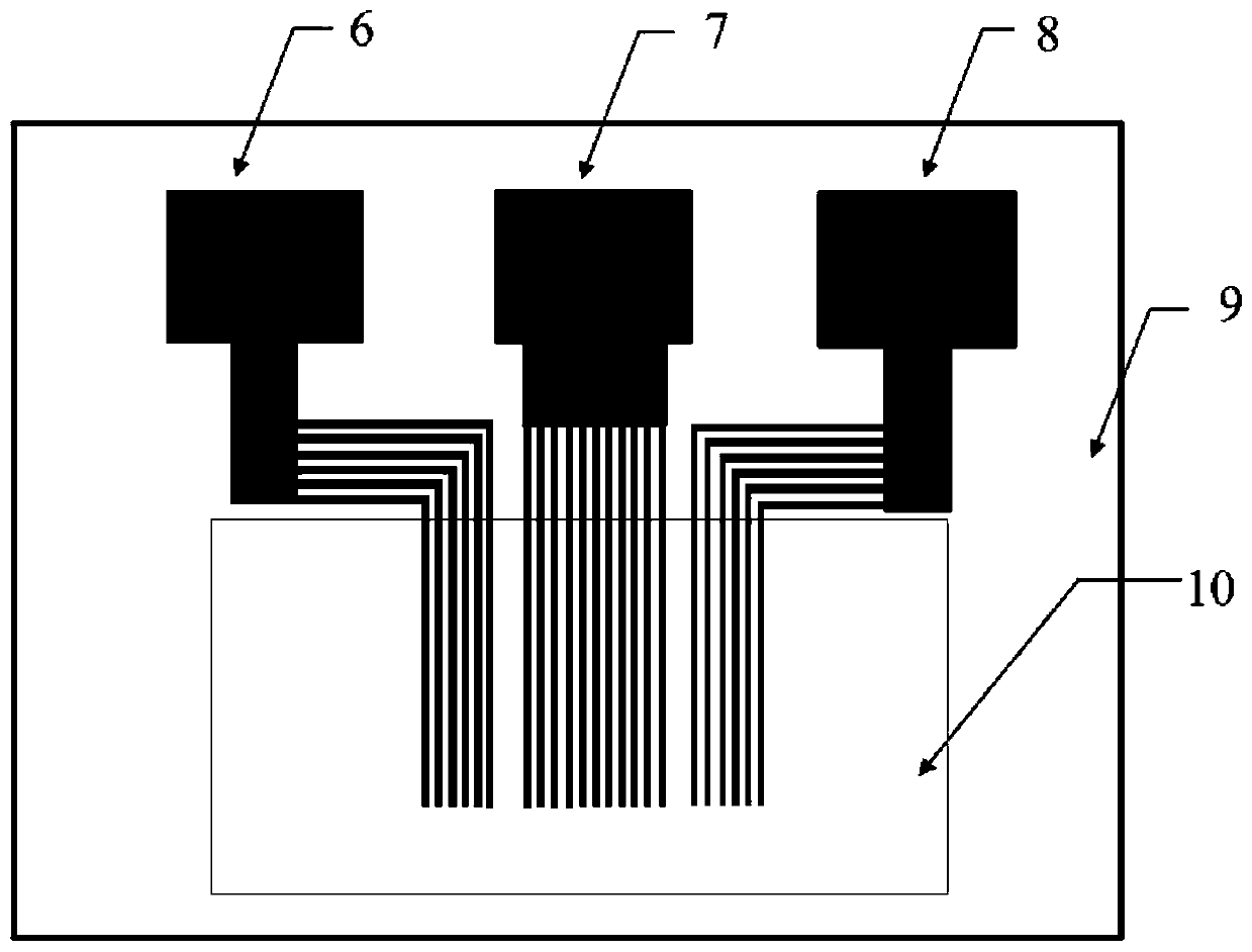 Array surface acoustic wave paper-based microfluidic system for rapid detection of heavy metal ion concentration