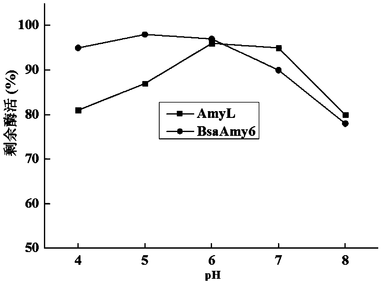 Activity-improved α-amylase amyl mutant and its coding gene and application