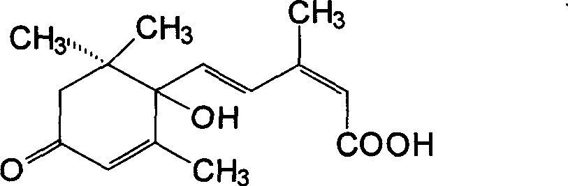 Fruit anti-staling agent