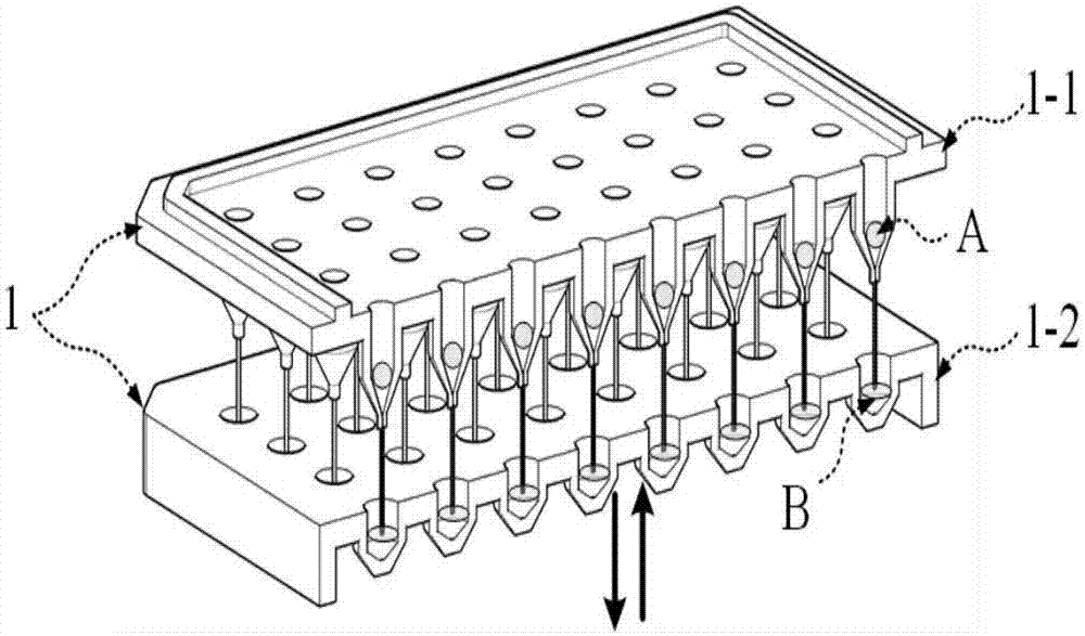 High-throughput and rapid micro-droplet preparation device and application thereof