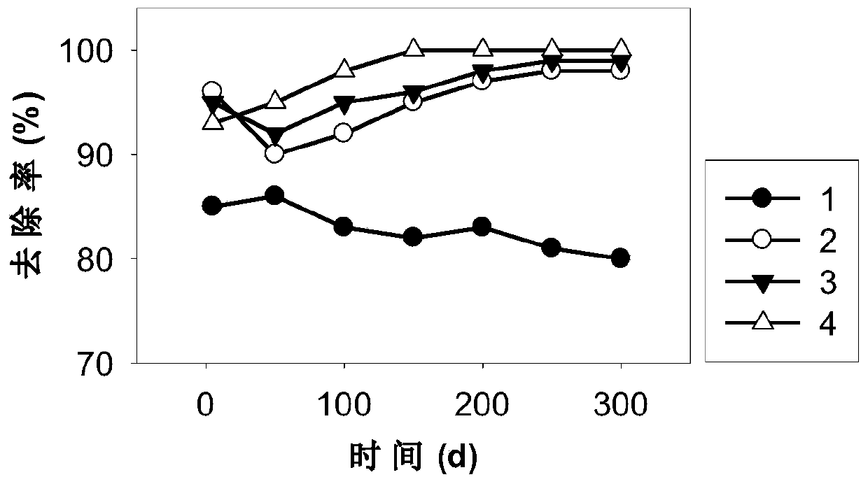 A kind of permeable reactive wall composite material for groundwater polycyclic aromatic hydrocarbon pollution remediation and preparation method thereof