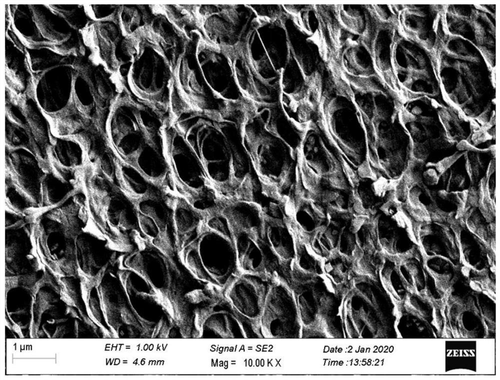 Meta-aramid diaphragm and preparation method thereof