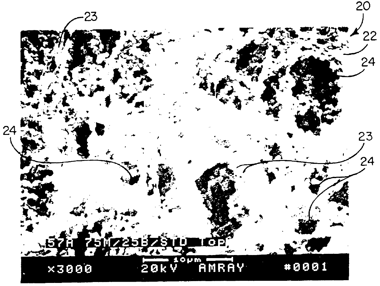 PVDF microporous membrane and method