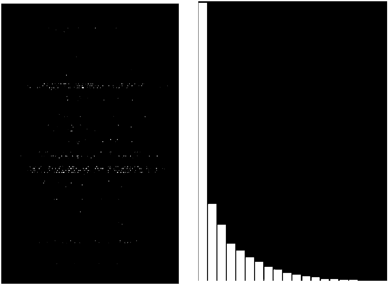 A Snowflake Noise Detection Method Based on Information Entropy