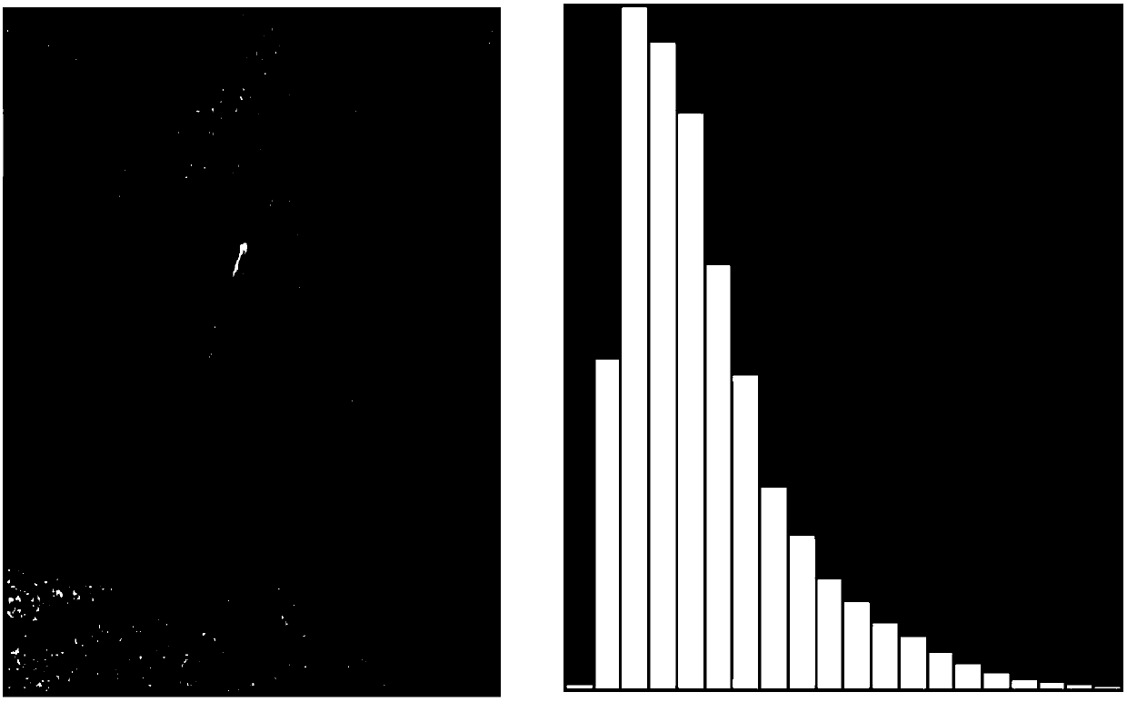 A Snowflake Noise Detection Method Based on Information Entropy