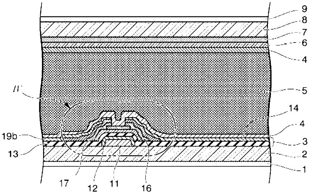 Liquid crystal composition and liquid crystal display element using this composition