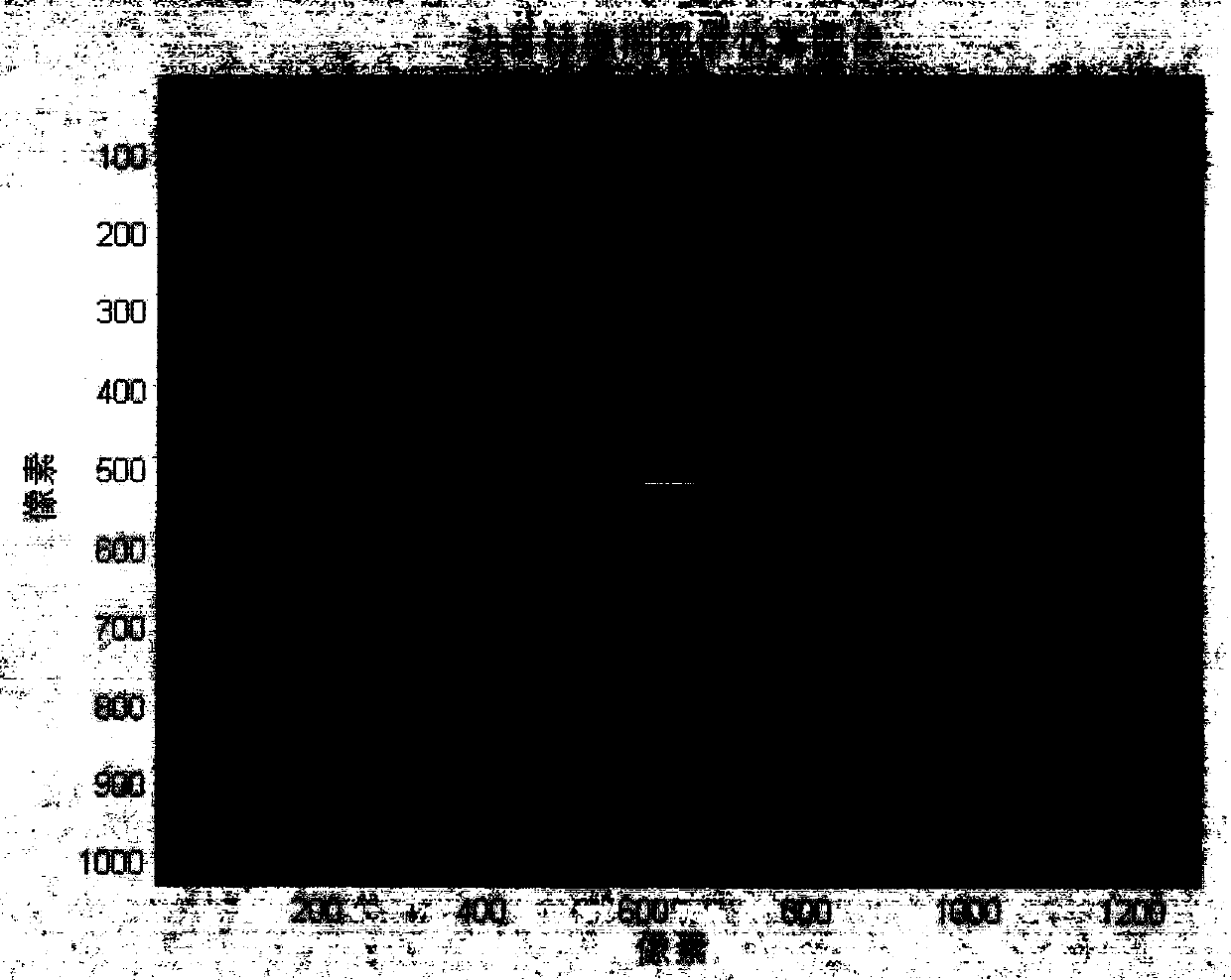 Long exposure imaging-based equivalent fuzzy moving target image simulation method and long exposure imaging-based equivalent fuzzy moving target image simulation system