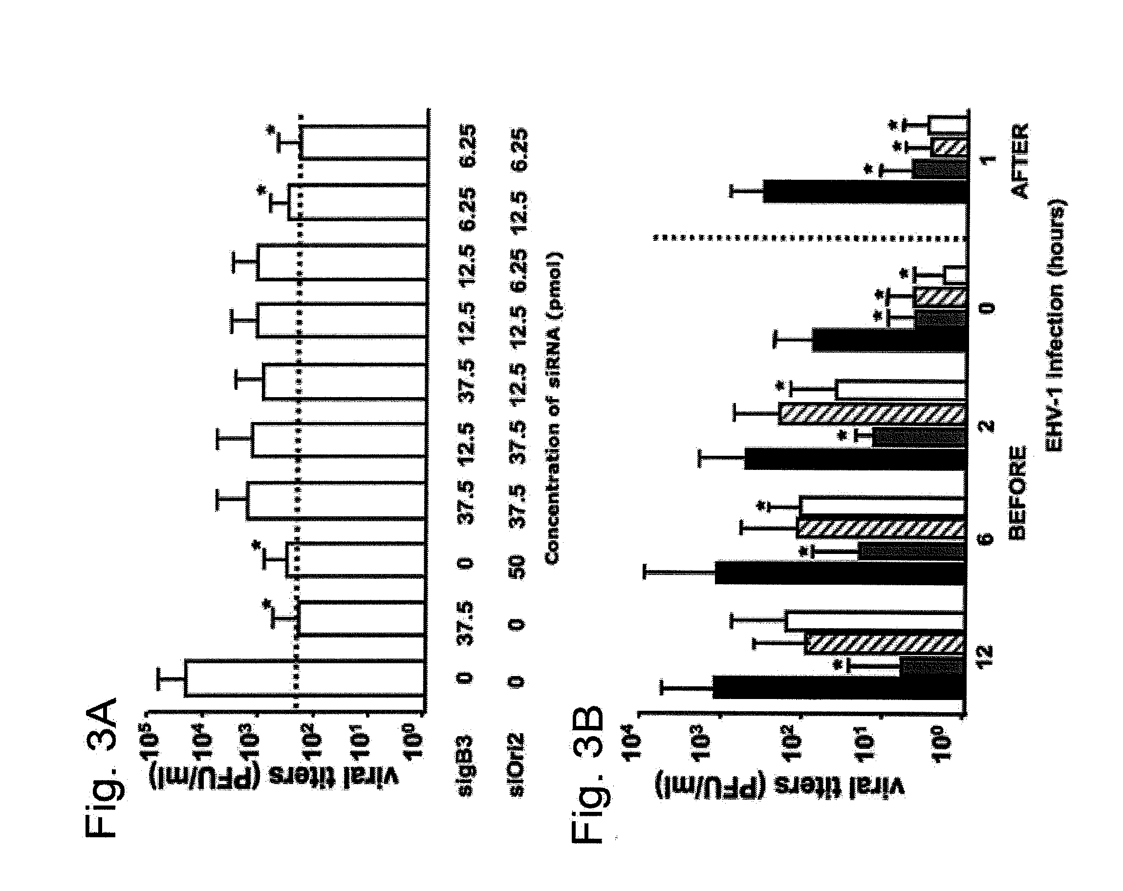 Method for Prophylaxis and Treatment of Equine Herpesvirus Type 1 Infections