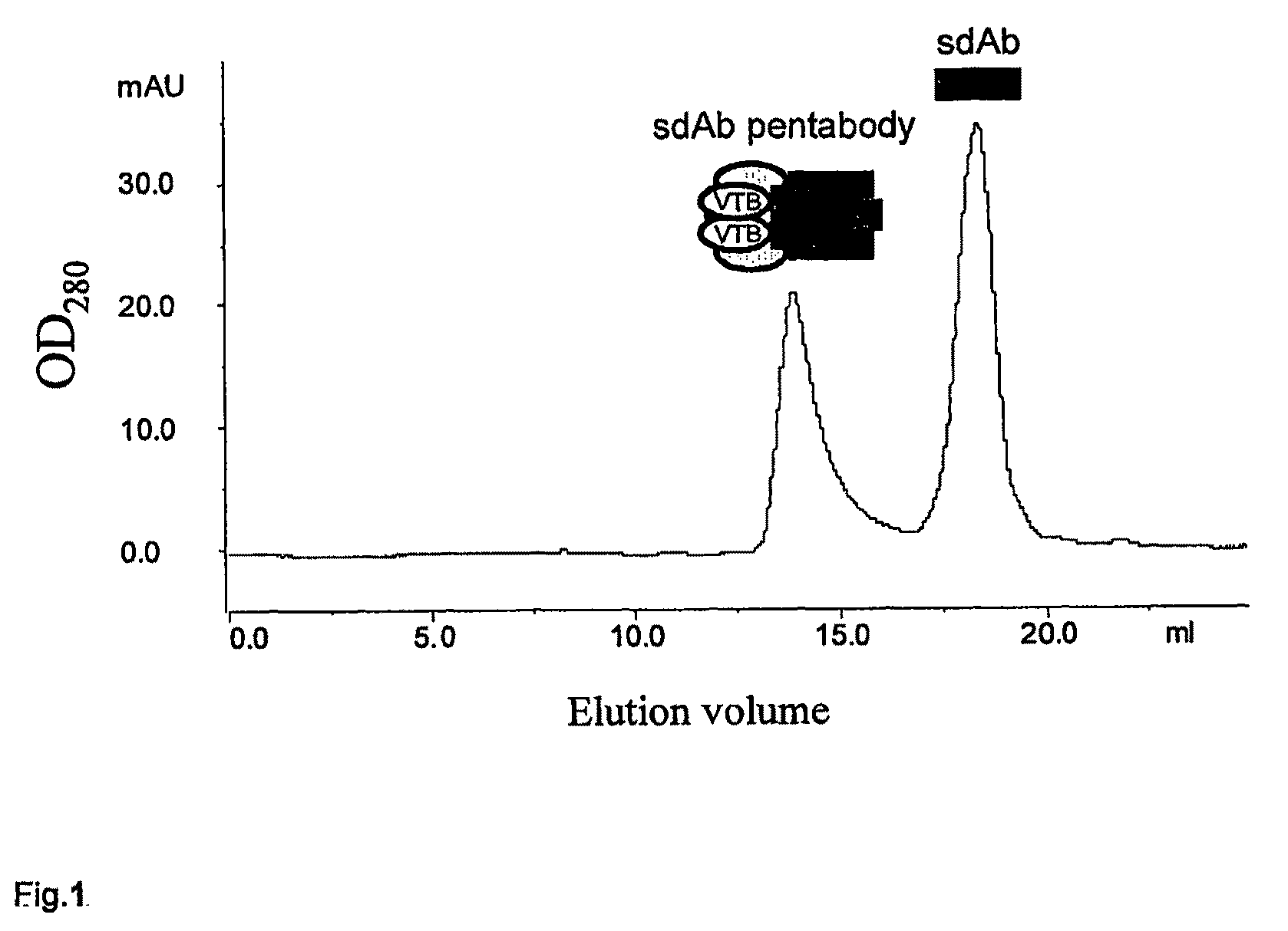 Anti-apoptotic protein antibodies