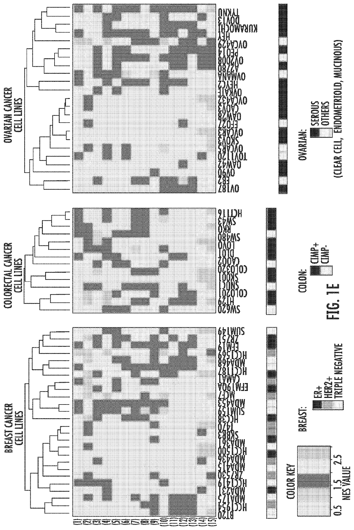 Predicting response to epigenetic drug therapy