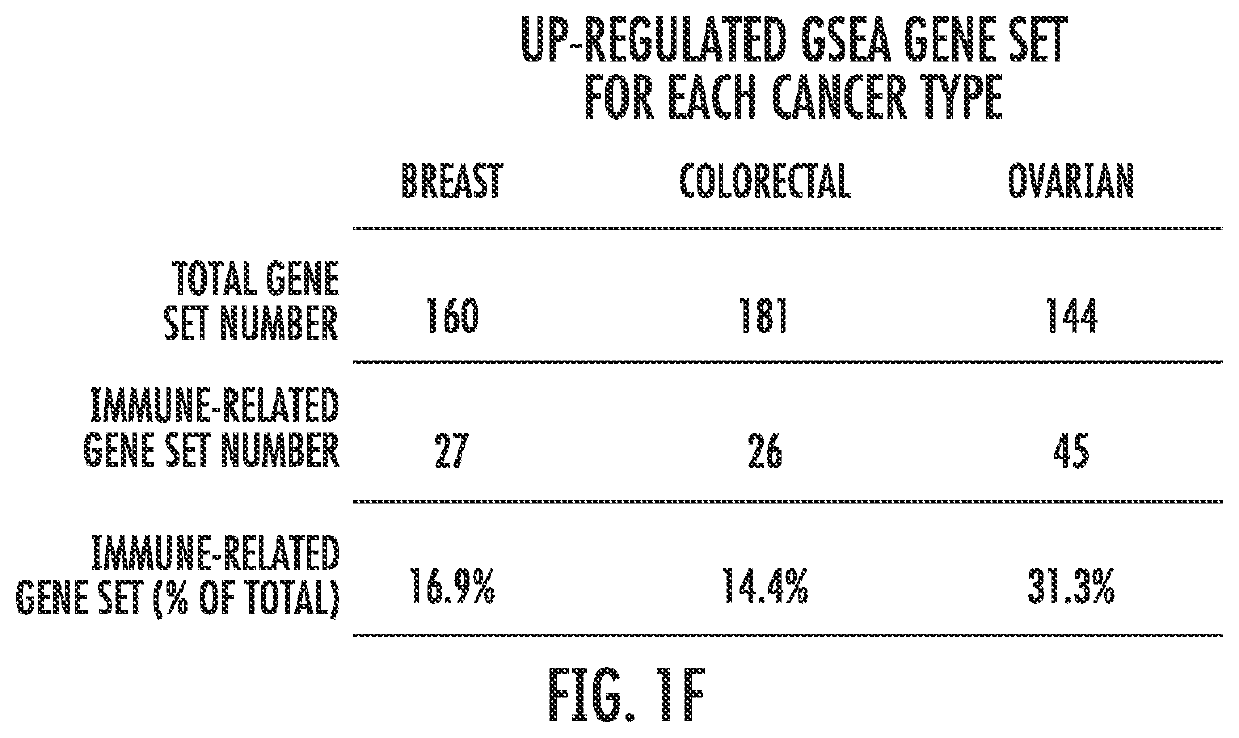 Predicting response to epigenetic drug therapy