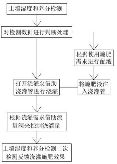 Irrigation fertilization method for rosemary planting