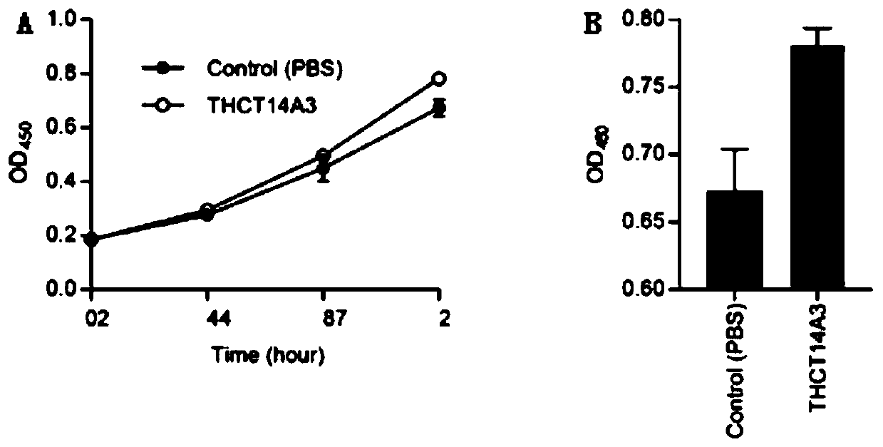 Fusobacterium nucleatum subsp.vincentii strain for intestinal tract separation and application of fusobacterium nucleatum subsp.vincentii strain for intestinal tract separation