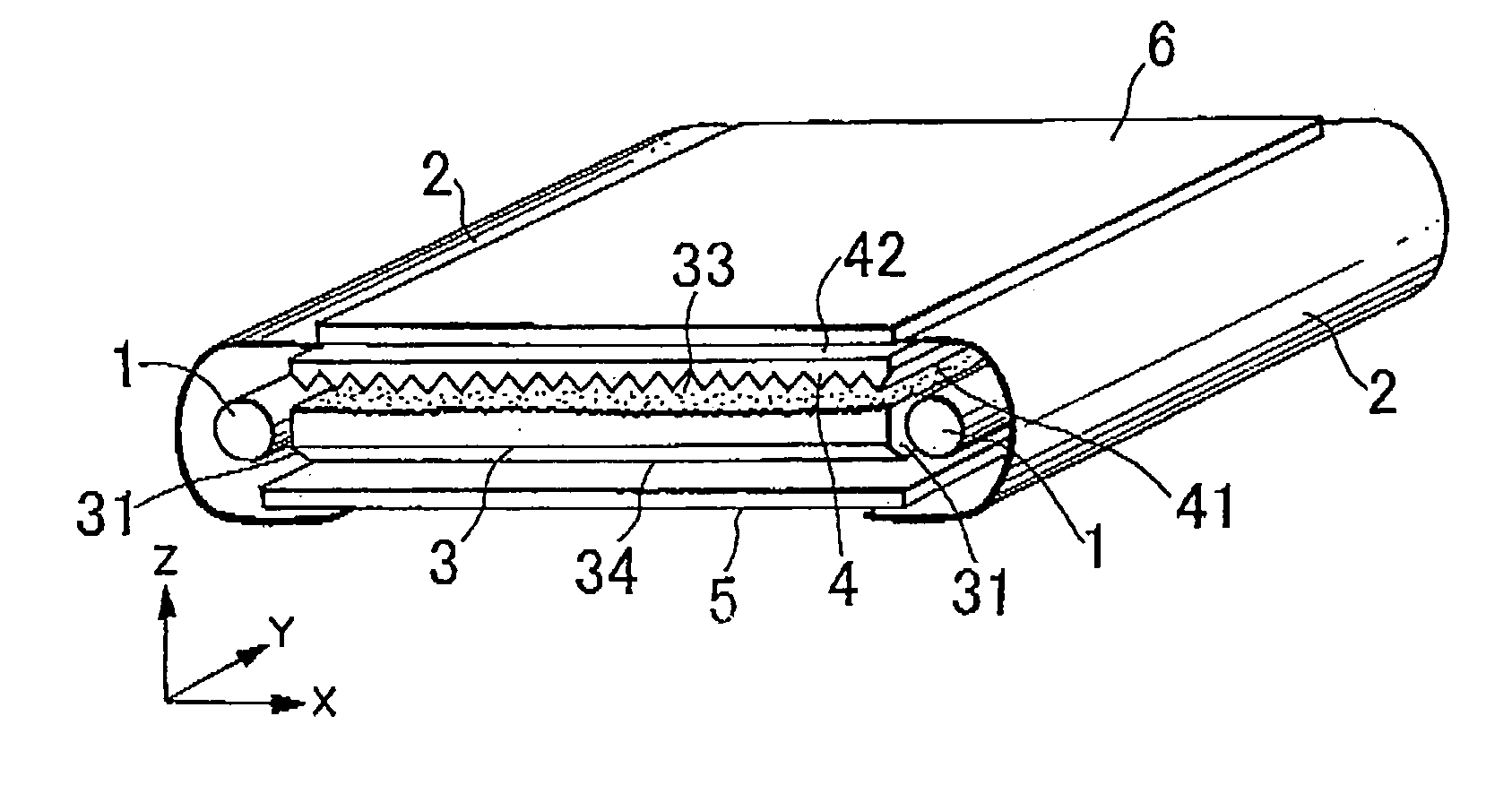 Light source device and light polarizing element