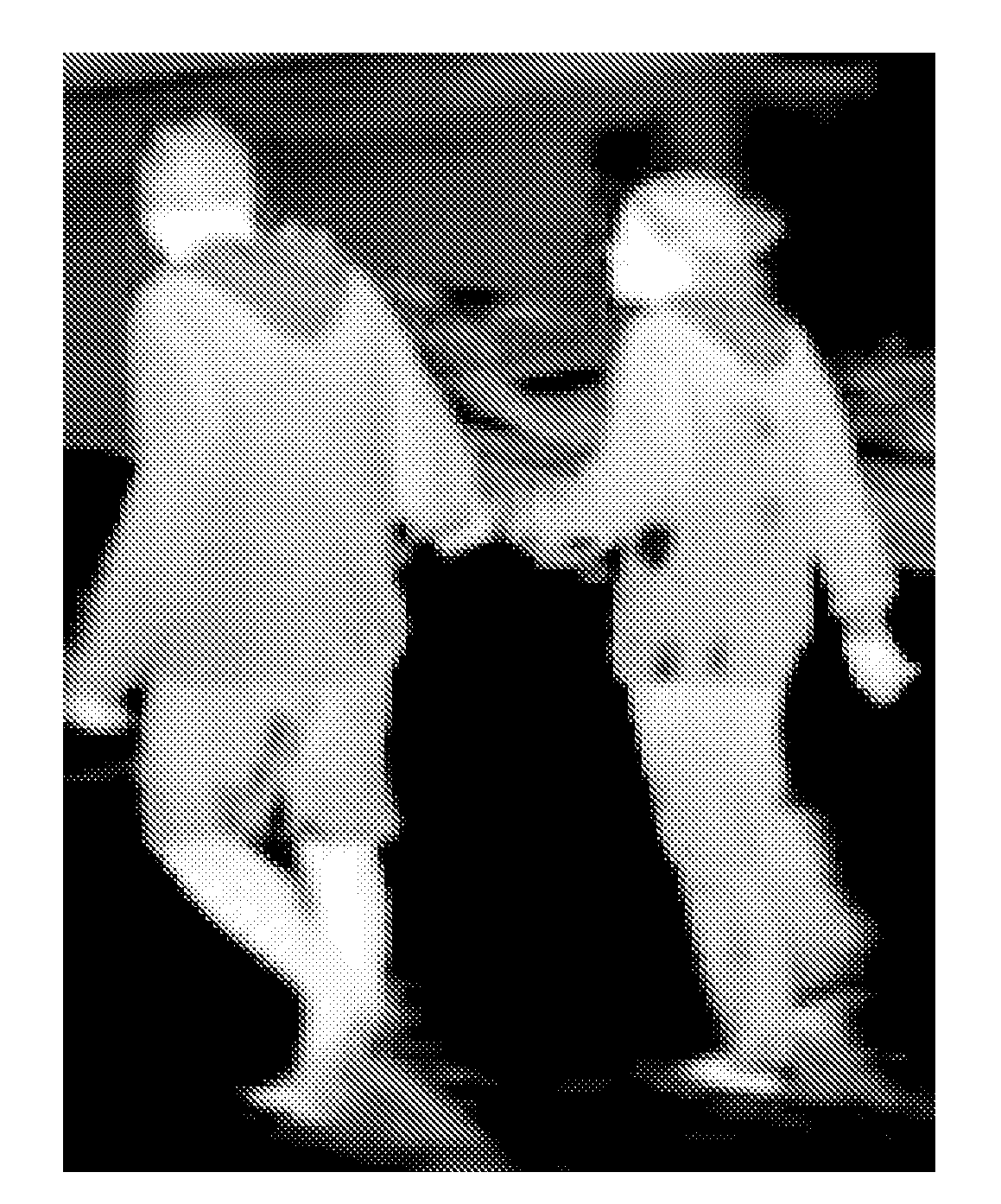 Determining a total number of people in an ir image obtained via an ir imaging system