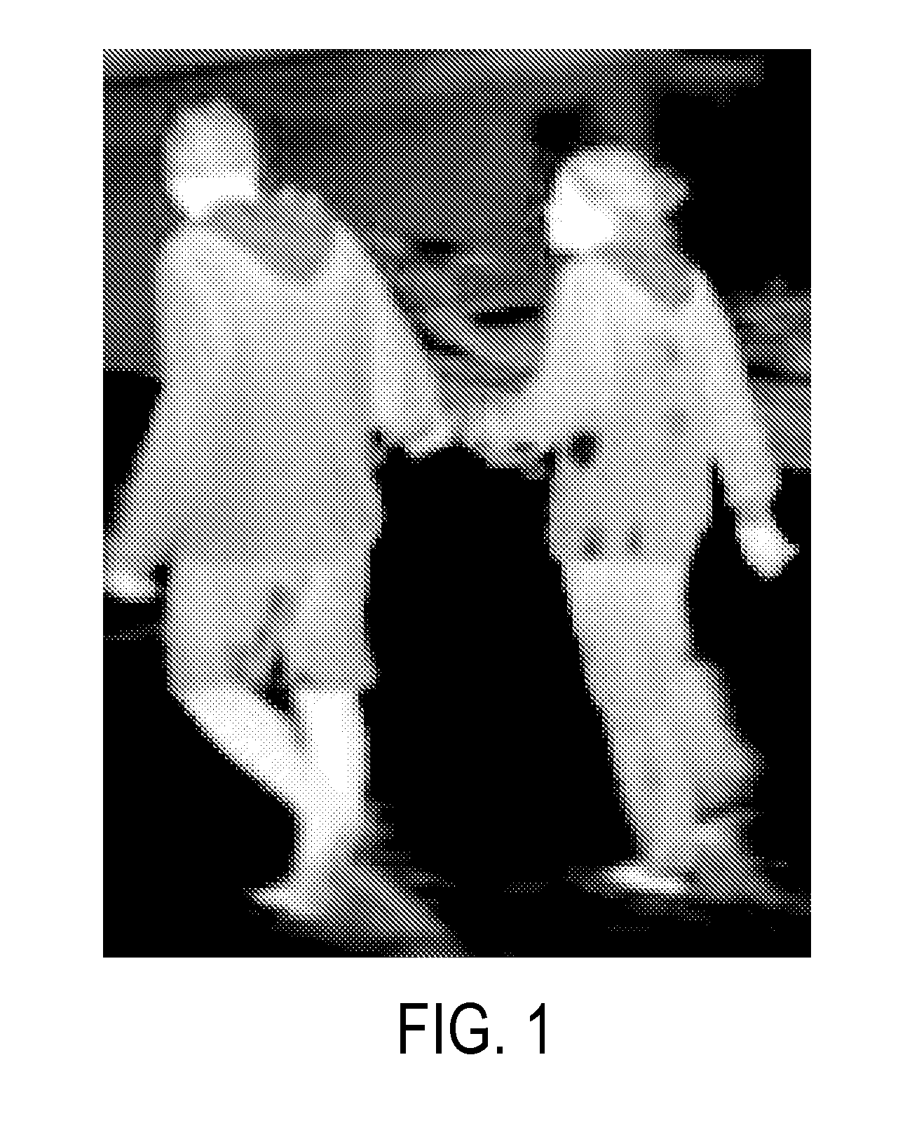 Determining a total number of people in an ir image obtained via an ir imaging system