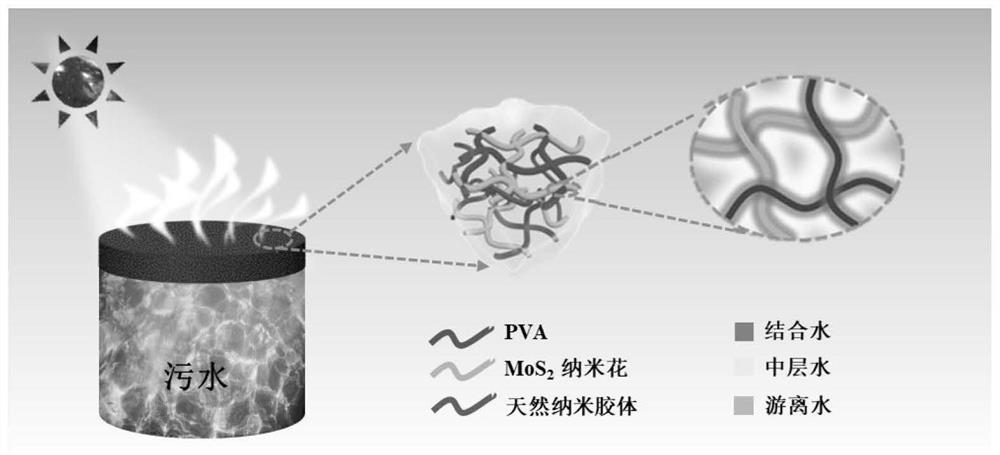 Natural colloid compounded hydrogel and preparation method and application thereof