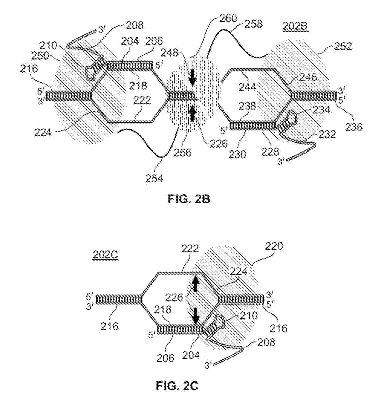 Methods and compositions for blocking off-target nucleic acids from cleavage by crispr proteins