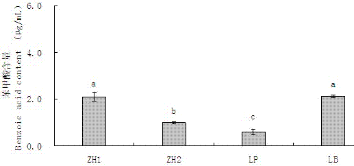 Lactobacillus strain lactobacillus parafarraginis ZH1 and application thereof