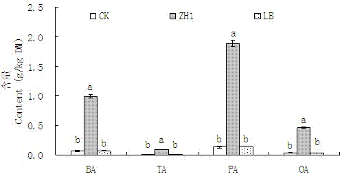 Lactobacillus strain lactobacillus parafarraginis ZH1 and application thereof