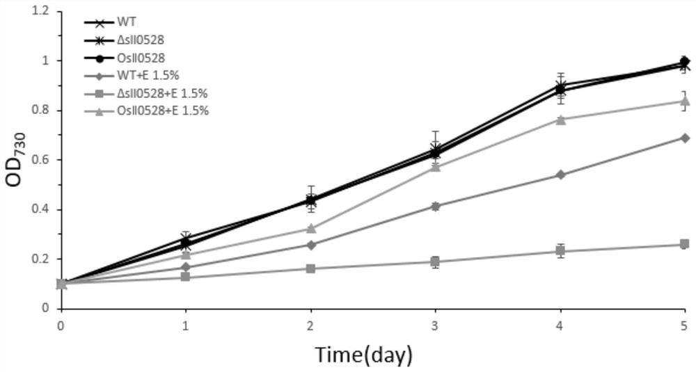 Application of sll0528 Gene in Improving Ethanol Tolerance of Synechocystis pcc6803