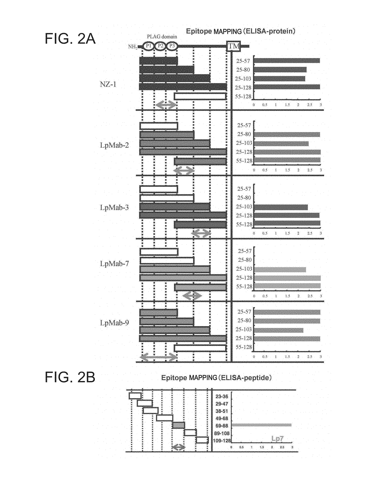 Anti-podoplanin antibody