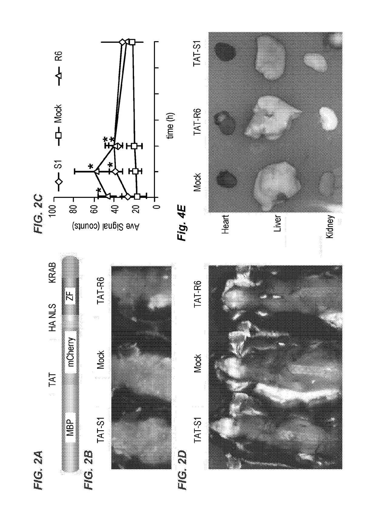 Compositions and methods for delivering biotherapeutics