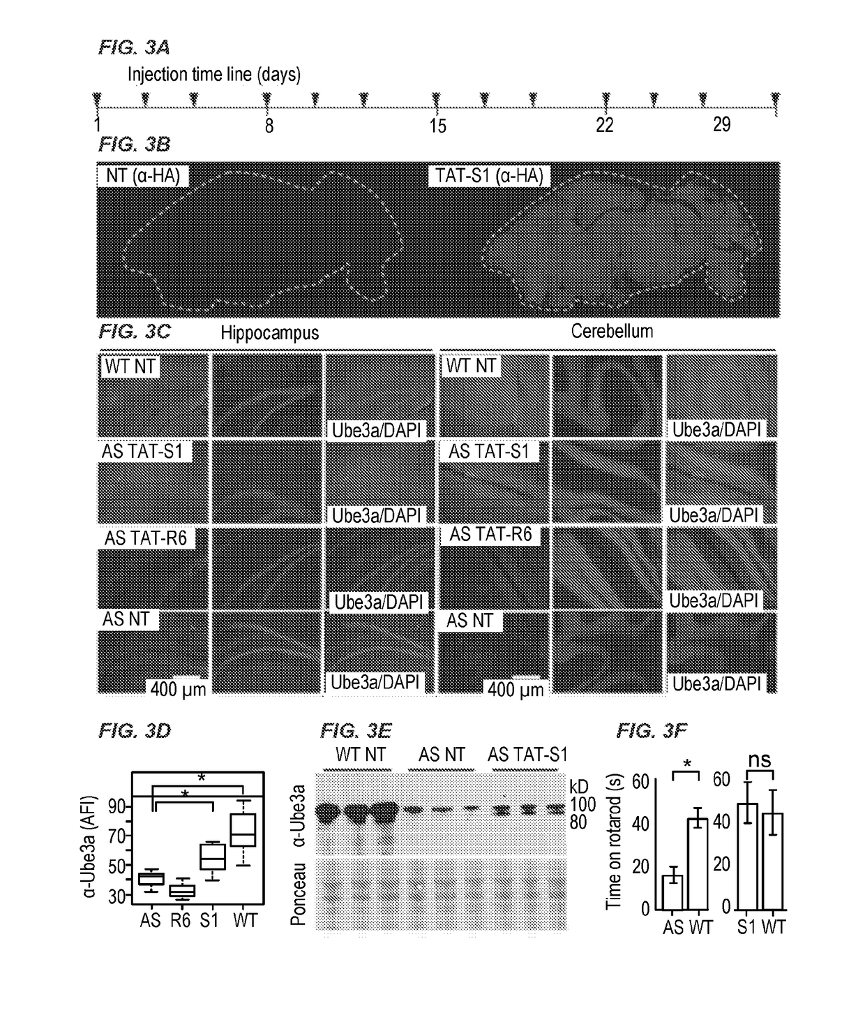 Compositions and methods for delivering biotherapeutics