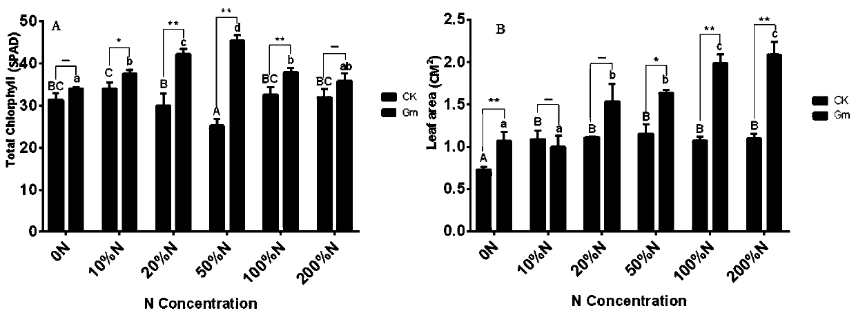 Method for improving total flavonoid content and yield of clematis plants by using arbuscular mycorrhizal fungi