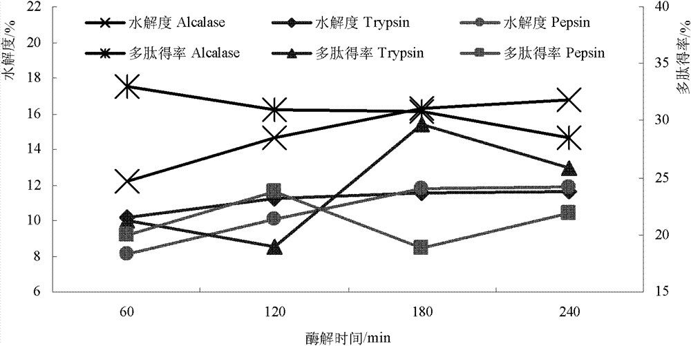 Method for preparing antioxidant peptides from oats by utilizing enzymatic membrane reactor