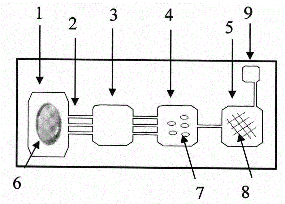 Pesticide residue detection micro-fluidic chip with pre-stored reaction reagent