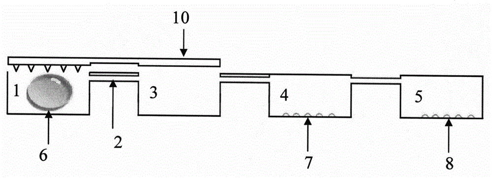 Pesticide residue detection micro-fluidic chip with pre-stored reaction reagent