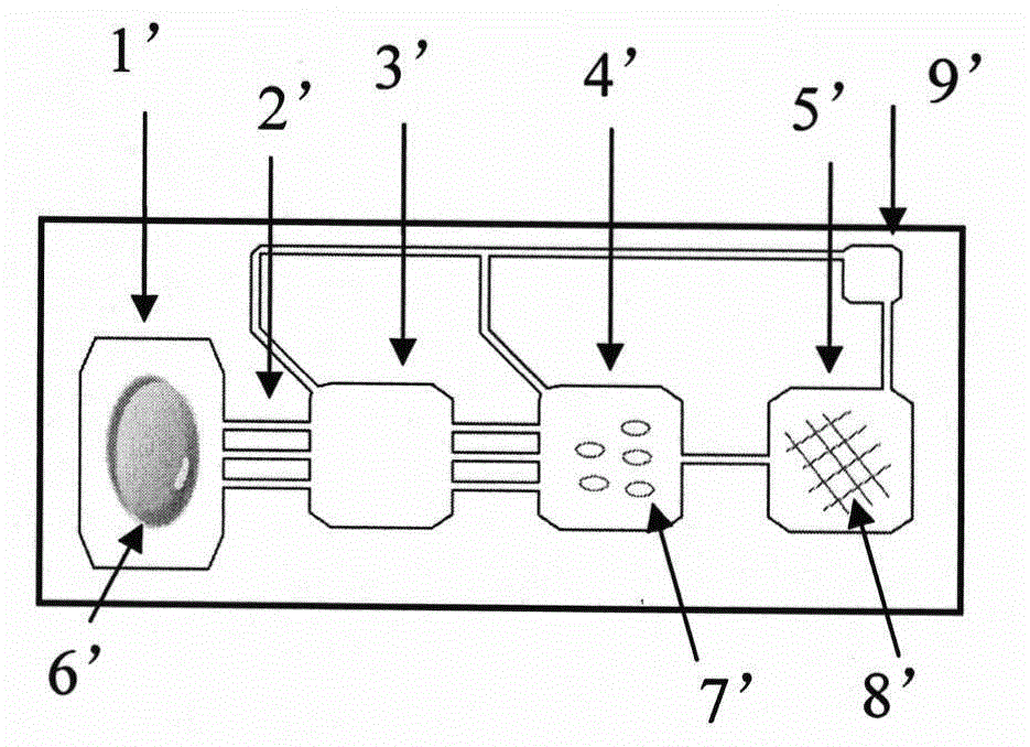 Pesticide residue detection micro-fluidic chip with pre-stored reaction reagent