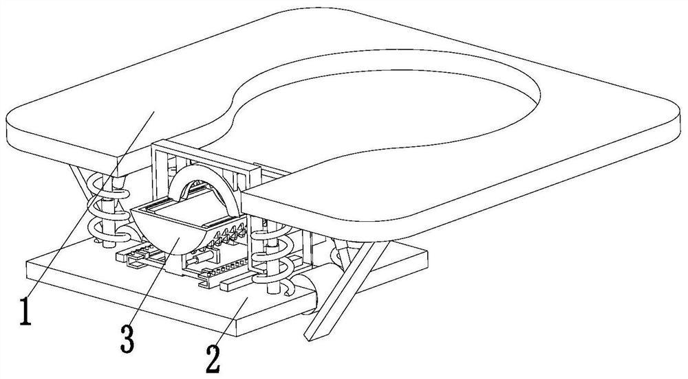 An external auxiliary inspection device for genitals