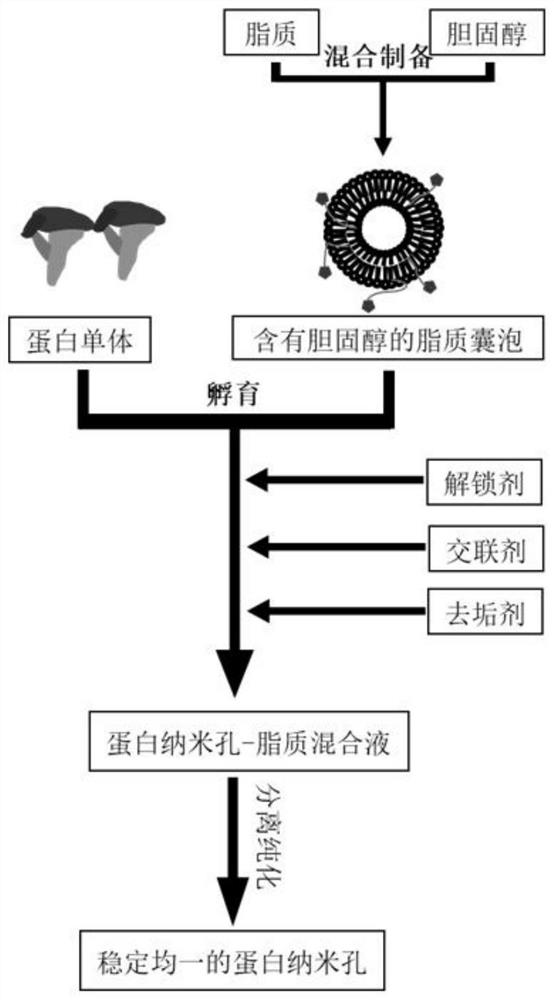 Preparation method of stable and uniform nanopore