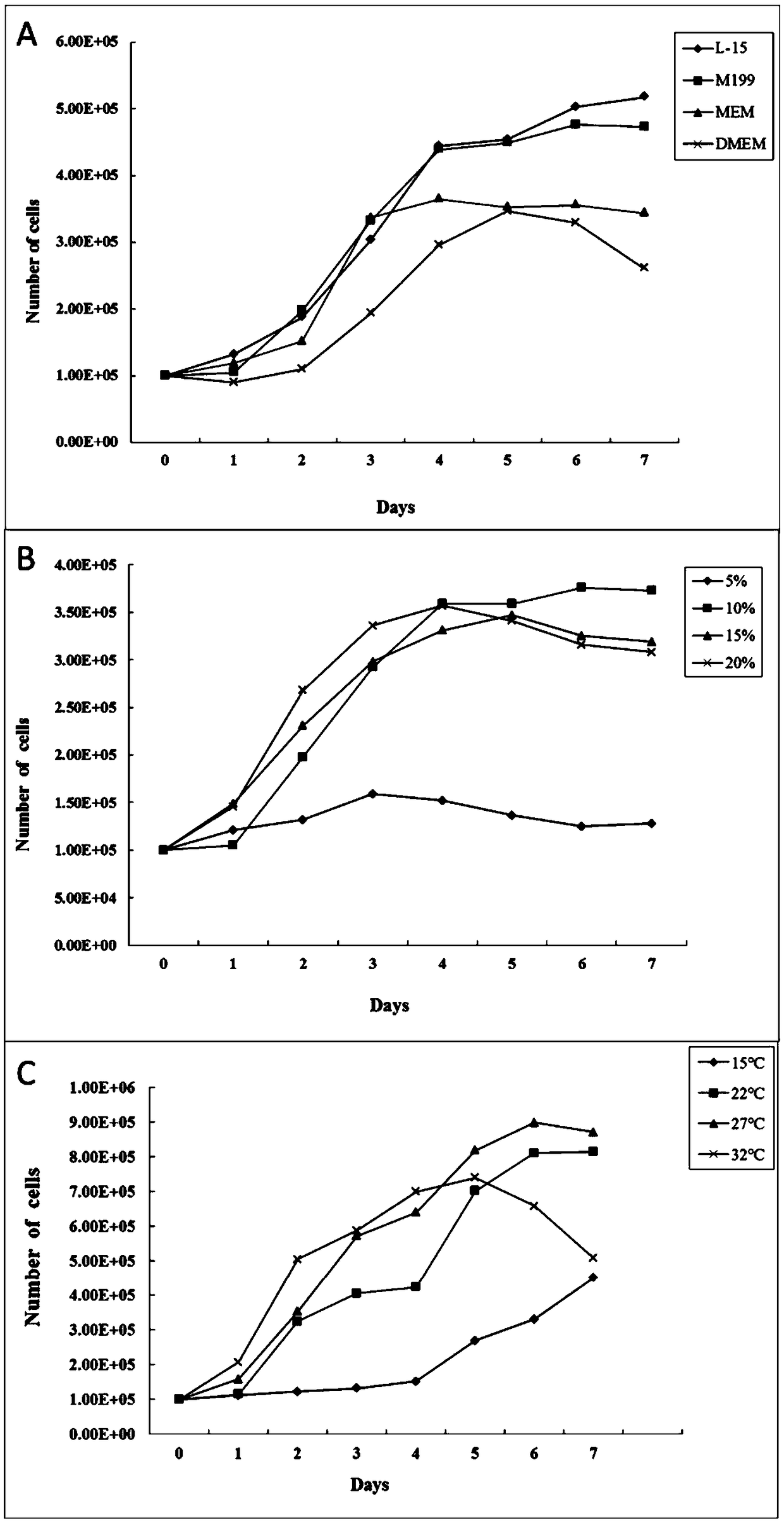 Tilapia brain cell line and application thereof