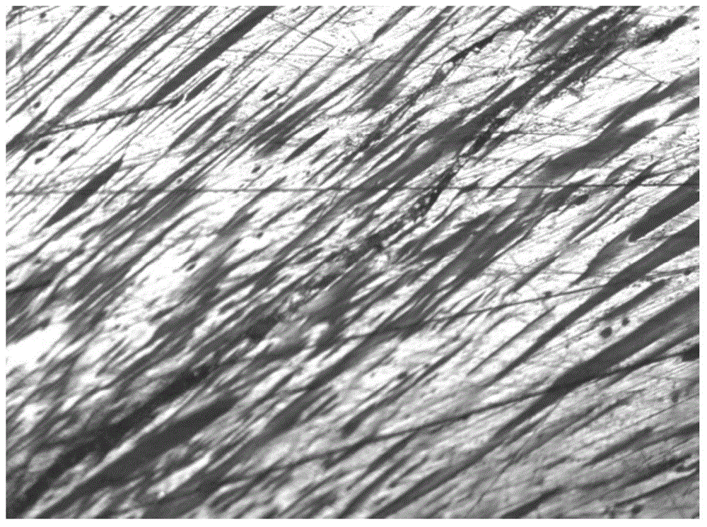 Mesophase pitch and method for preparing mesophase pitch by using coal liquefaction refined pitch