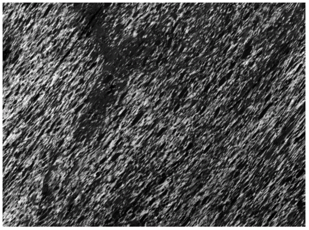 Mesophase pitch and method for preparing mesophase pitch by using coal liquefaction refined pitch